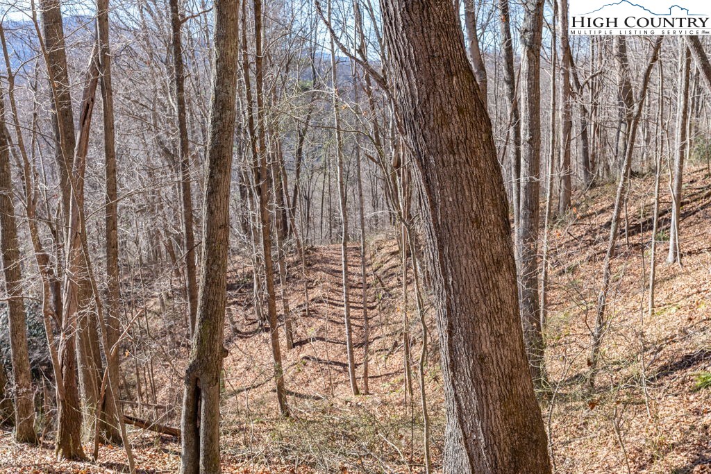 3000 Elk River Road Elk Park, NC 28622 - Photo 14 of 23 a view of a yard with plants and wooden fence