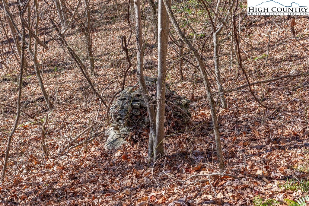 3000 Elk River Road Elk Park, NC 28622 - Photo 15 of 23 a close up of a tree