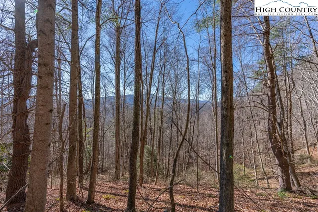 a view of a backyard of the house