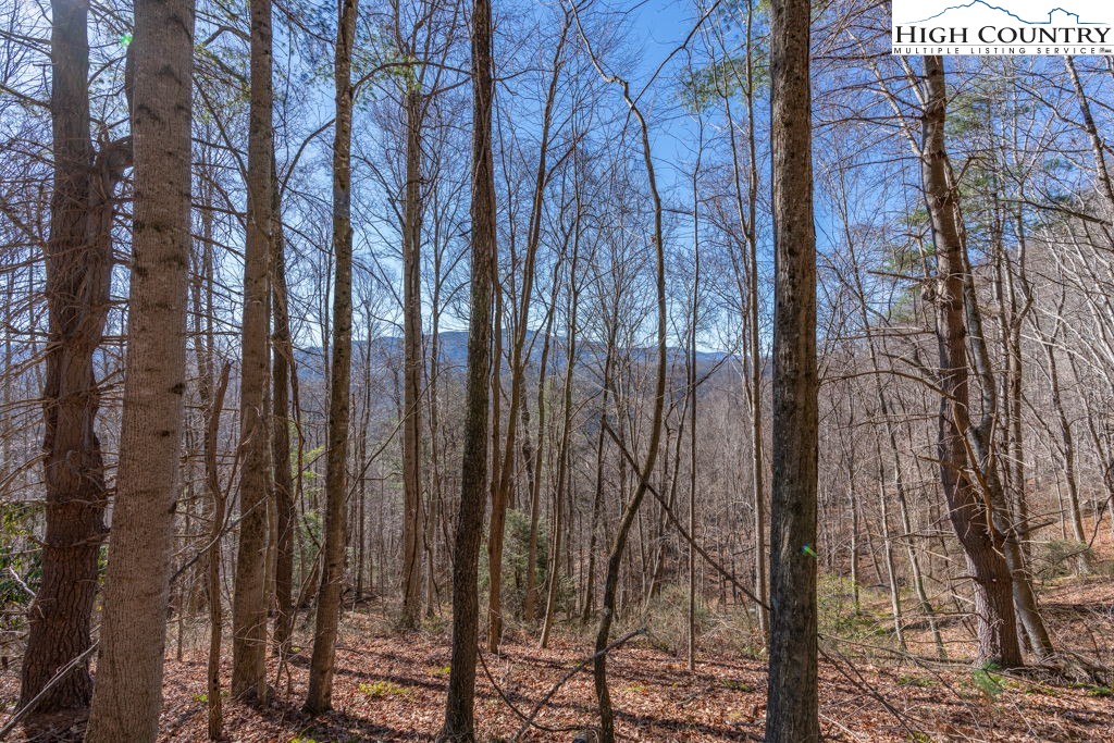 3000 Elk River Road Elk Park, NC 28622 - Photo 16 of 23