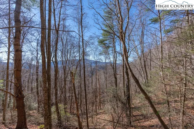 a backyard of a house with lots of trees