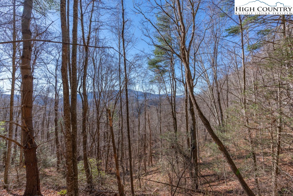 3000 Elk River Road Elk Park, NC 28622 - Photo 19 of 23 a view of a backyard of the house