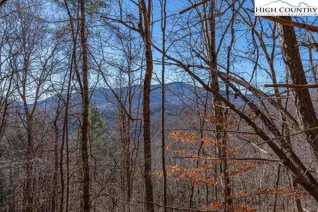 $1,399,000 | 3000 Elk River Road, Elk Park, NC 28622