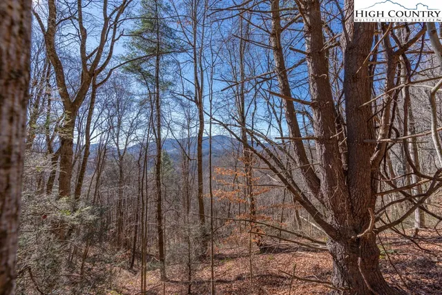 $1,399,000 | 3000 Elk River Road, Elk Park, NC 28622