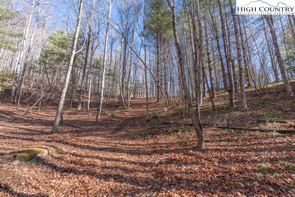3000 Elk River Road Elk Park, NC 28622 - Photo 5 of 23 a backyard of a house with lots of green space