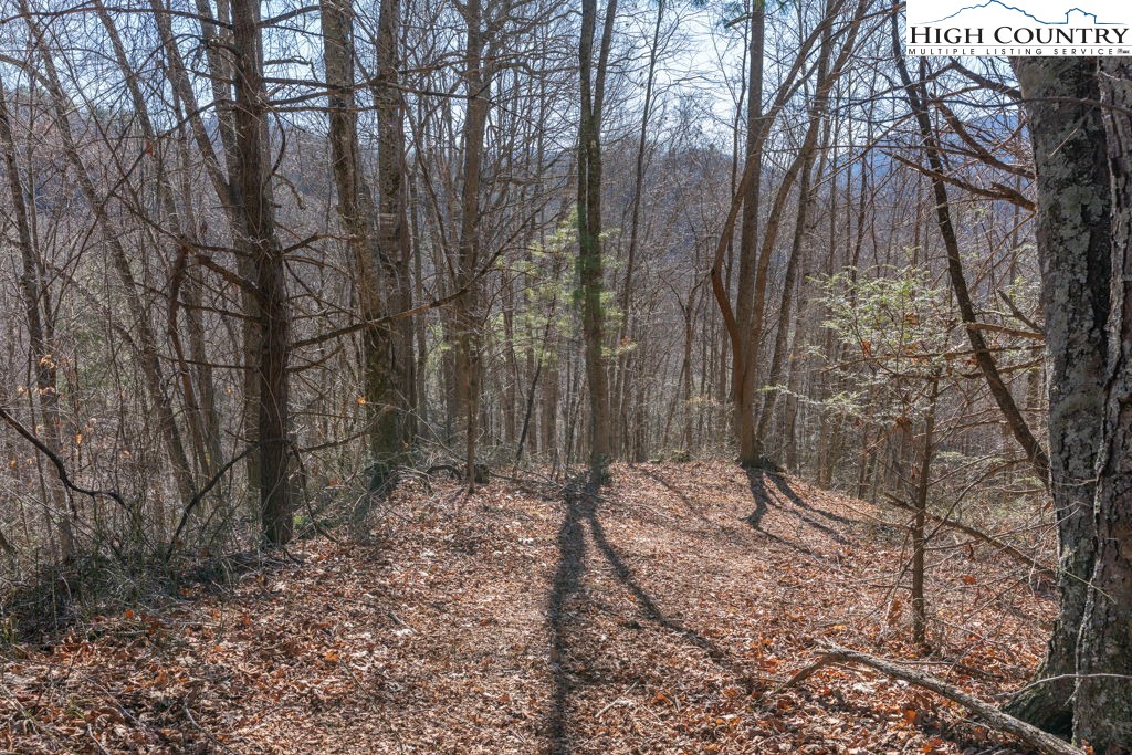 3000 Elk River Road Elk Park, NC 28622 - Photo 6 of 23 a backyard of a house with lots of green space