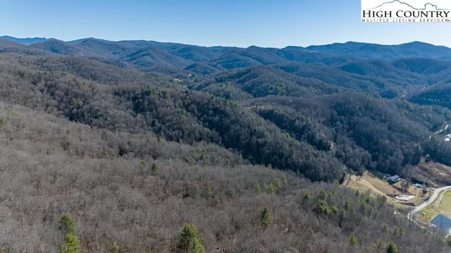 a backyard of a house with lots of trees