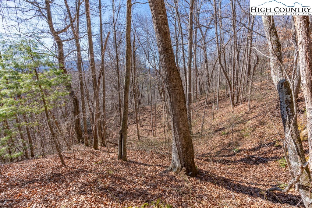 3000 Elk River Road Elk Park, NC 28622 - Photo 10 of 23 a backyard of a house with lots of trees