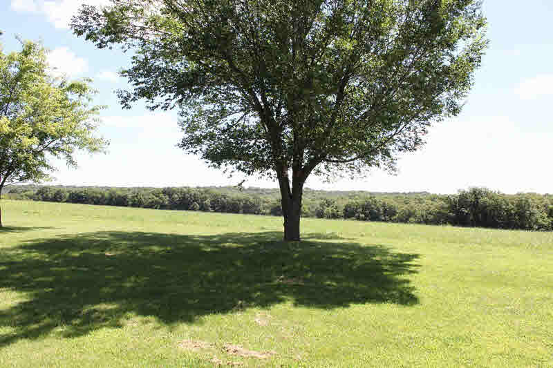 6525 Water Valley Road Cobden, IL 62920 - Photo 32 of 39 Gallery Image 32