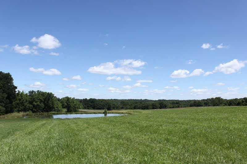 6525 Water Valley Road Cobden, IL 62920 - Photo 34 of 39 Gallery Image 34