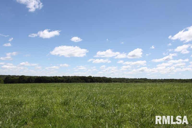 6525 Water Valley Road Cobden, IL 62920 - Photo 36 of 39 Gallery Image 36