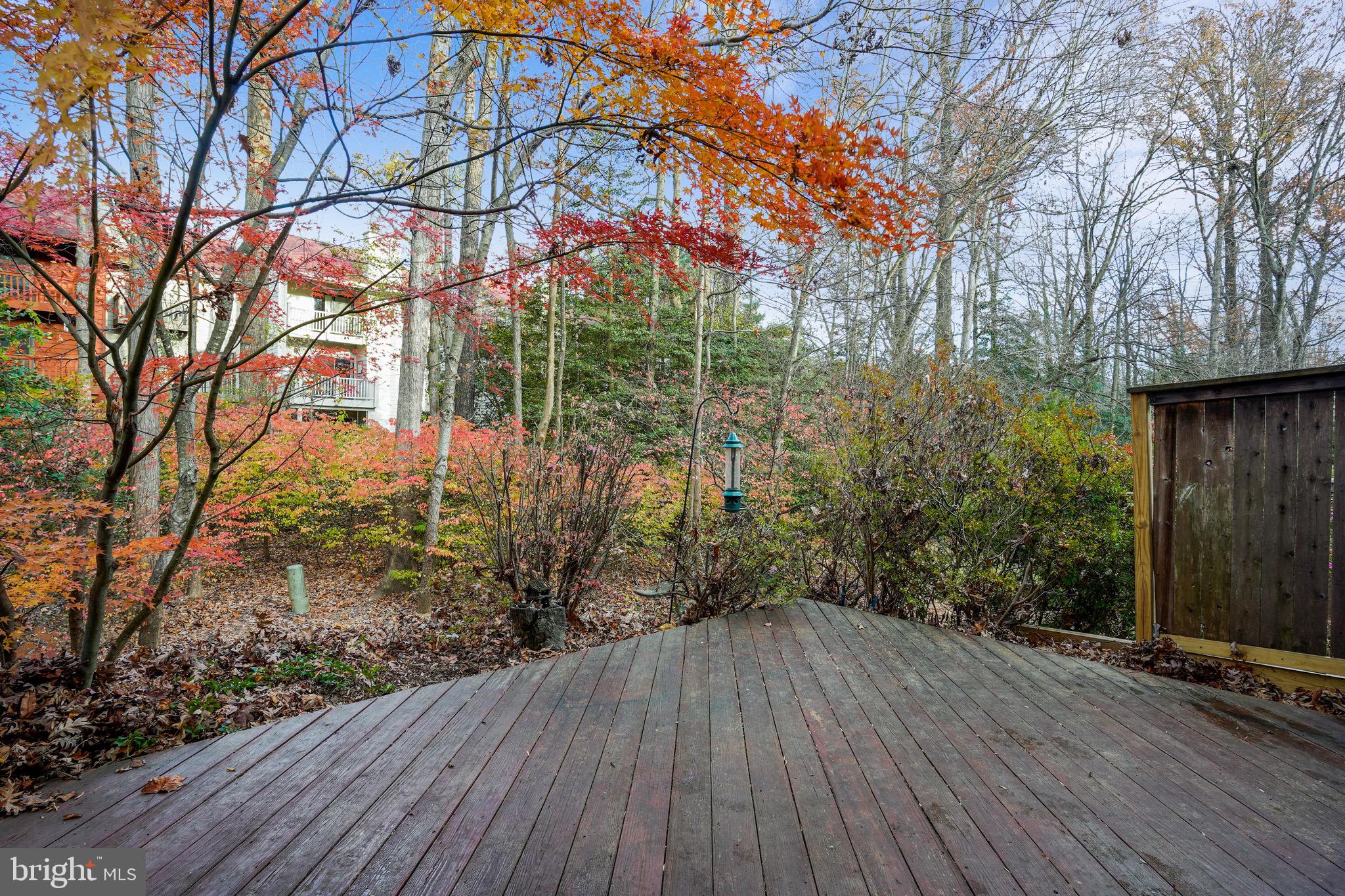 2023 Headlands Circle Reston, VA 20191 - Photo 13 of 44 A private oasis without leaving home