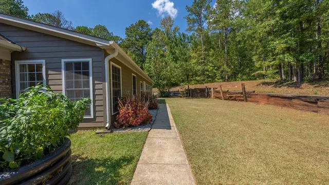 a view of a backyard with potted plants and large trees