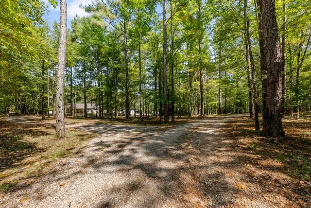 a view of outdoor space with trees