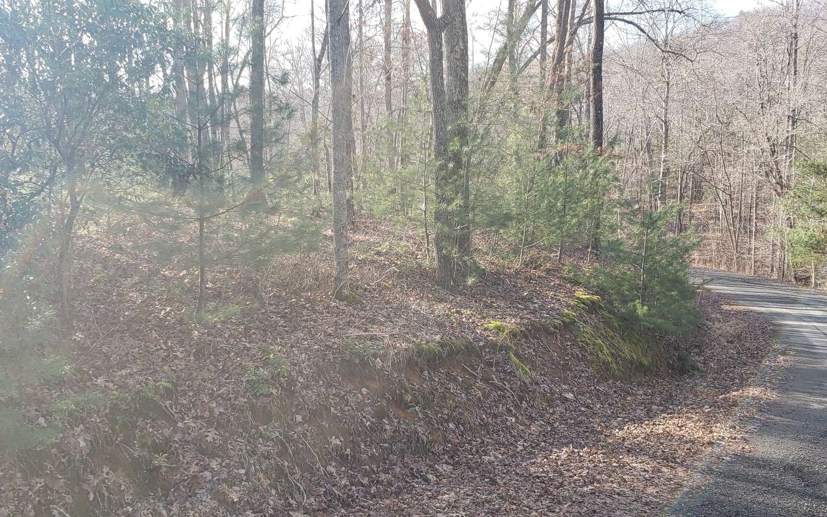 Lt24 Lt24 Turkey Scratch Road Morganton, GA 30560 - Photo 1 of 10 Main View