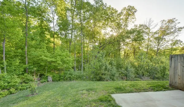 a view of a field of grass and trees