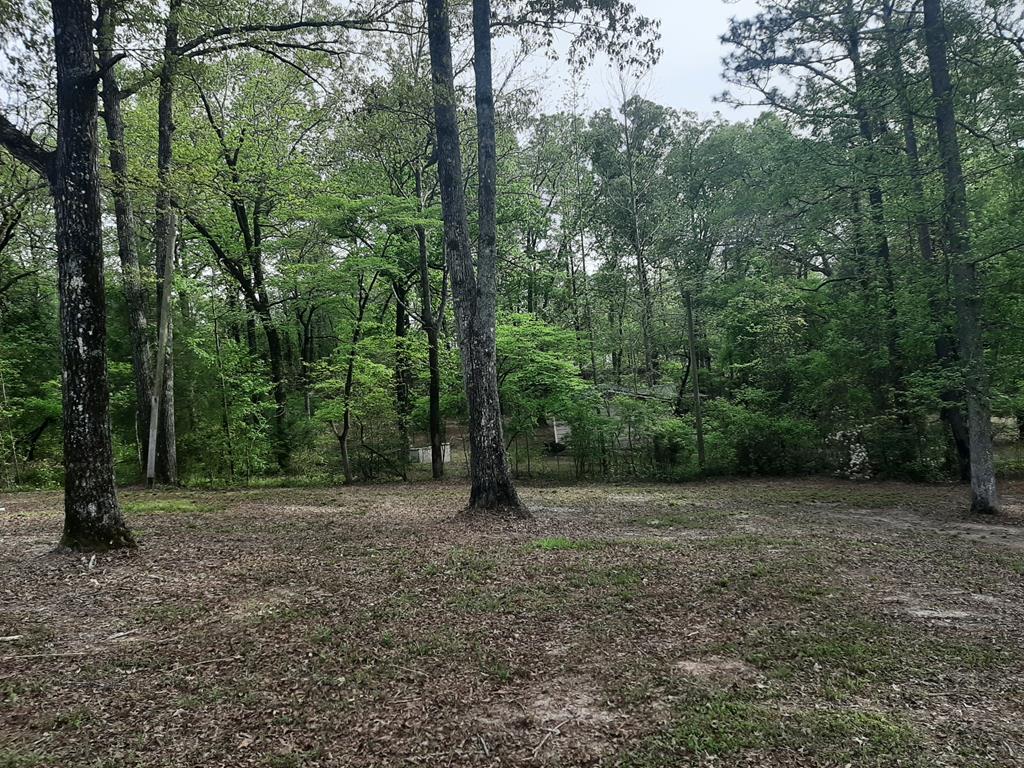 N/a Youngblood Road Gordon, GA 31031 - Photo 6 of 8 Gallery Image 6