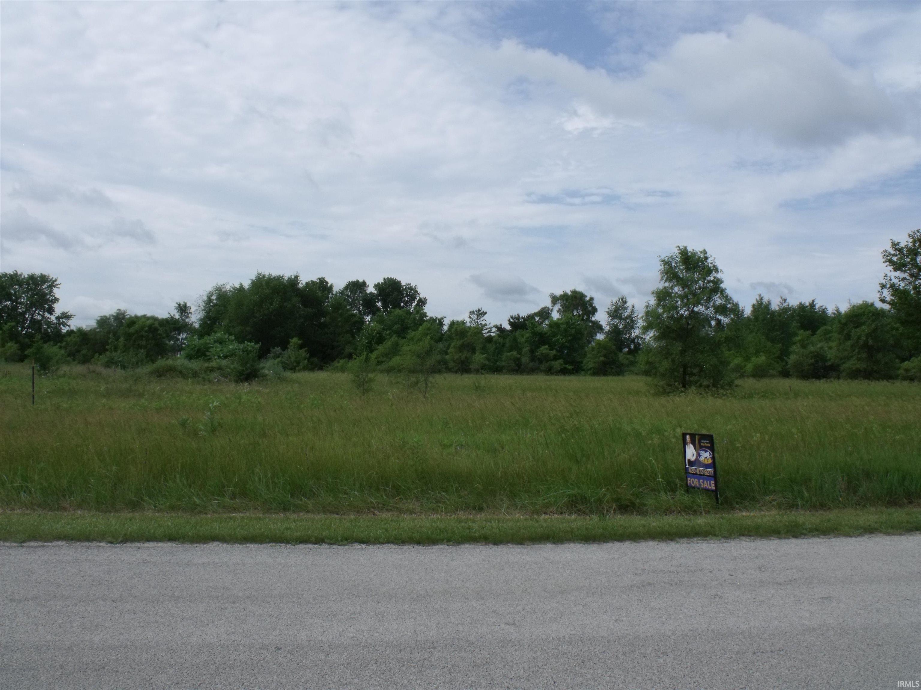 0 East 600 North Hamlet, IN 46532 - Photo 3 of 5