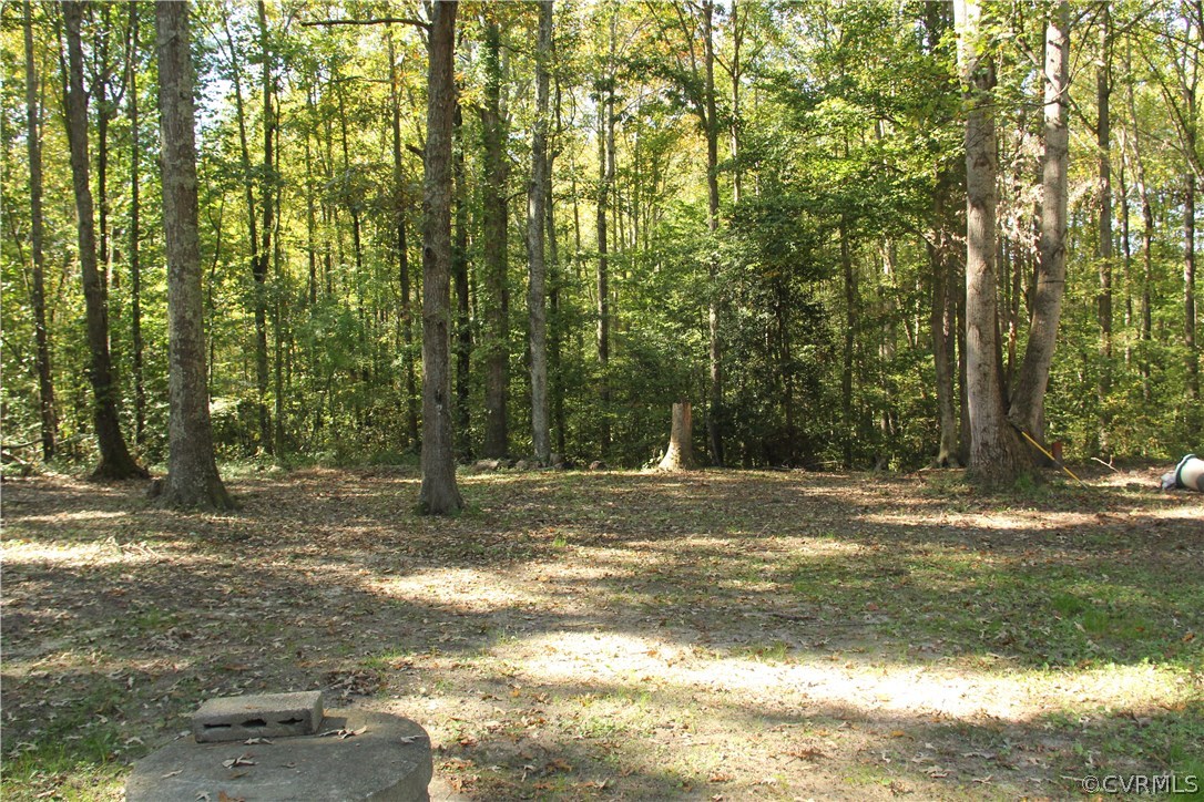 1937 Manfield Road Aylett, VA 23009 - Photo 7 of 7 Gallery Image 7