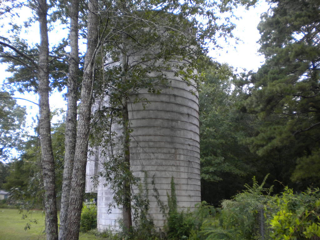 340 Ridge Road Ridgeville, SC 29472 - Photo 1 of 18 SILO