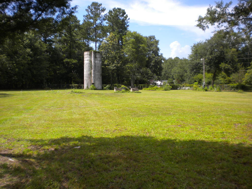 340 Ridge Road Ridgeville, SC 29472 - Photo 16 of 18 view to bk silo