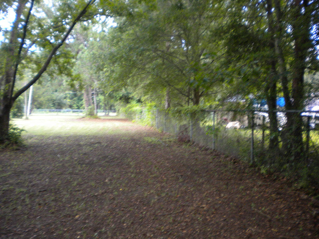340 Ridge Road Ridgeville, SC 29472 - Photo 3 of 18 bk lft to ridge rd