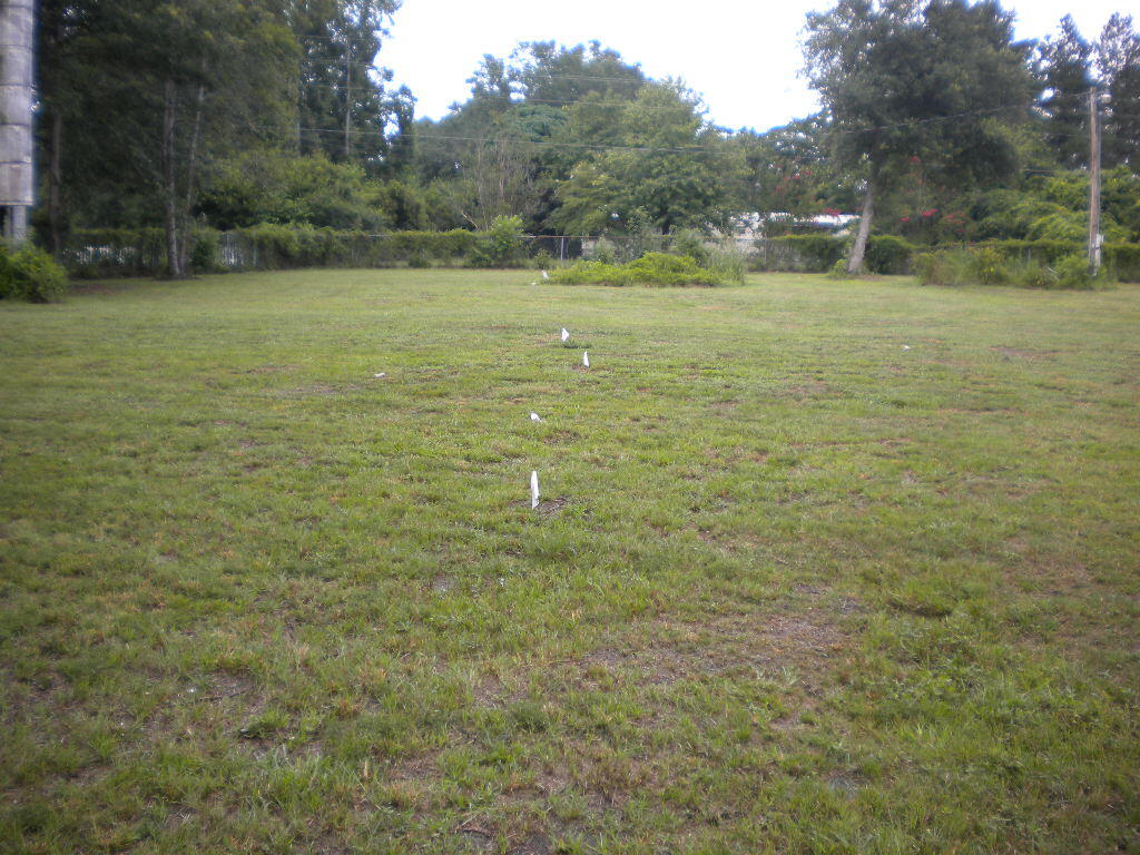 340 Ridge Road Ridgeville, SC 29472 - Photo 6 of 18 flag drain lines