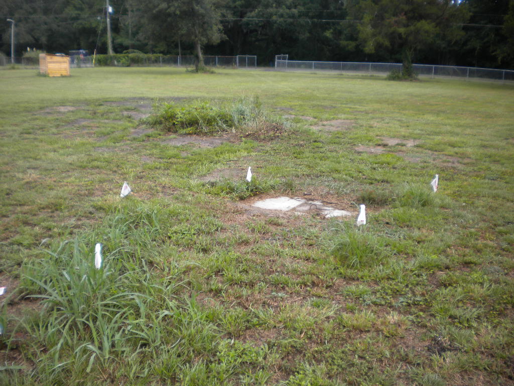 340 Ridge Road Ridgeville, SC 29472 - Photo 9 of 18 septic drain line flags