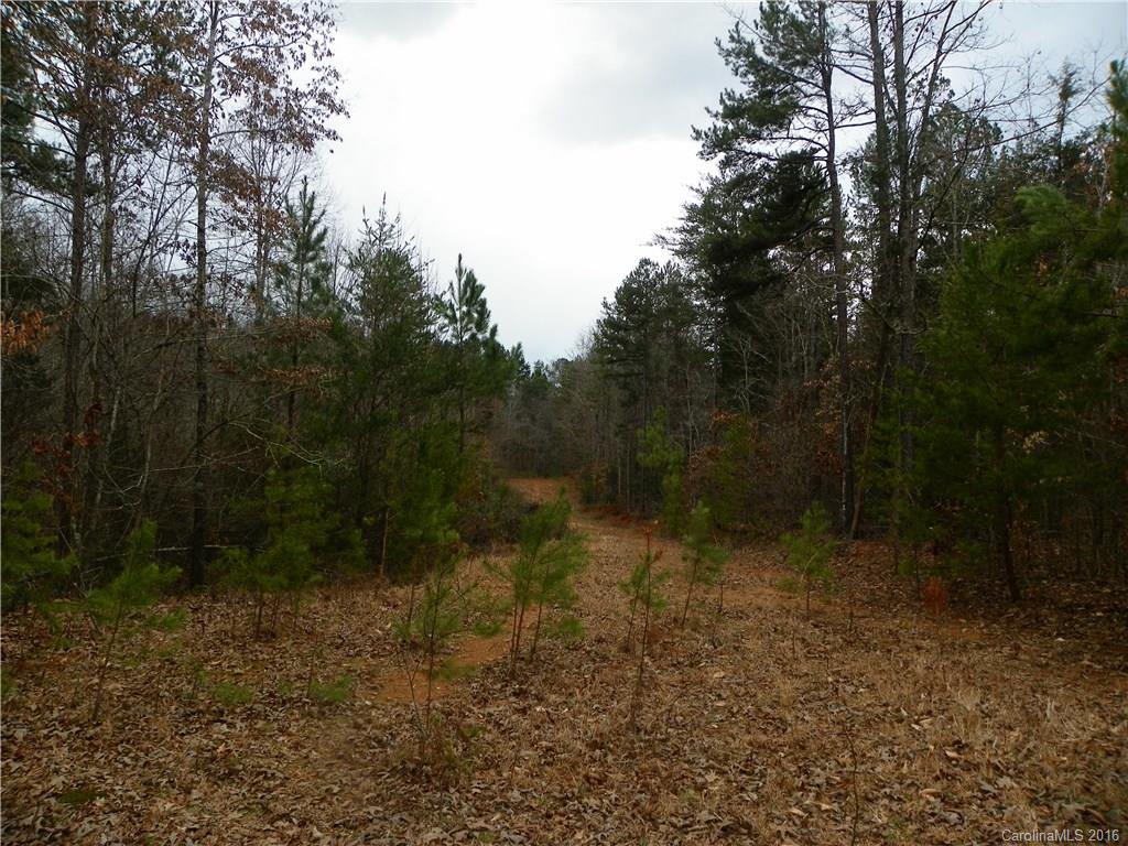 923 Jim Wilson Road Indian Land, SC 29707 - Photo 1 of 23 Gallery Image 1