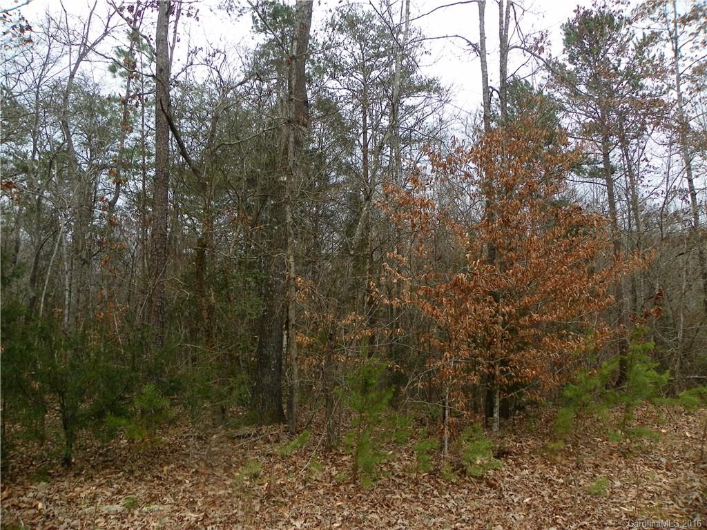 923 Jim Wilson Road Indian Land, SC 29707 - Photo 14 of 23 Gallery Image 14