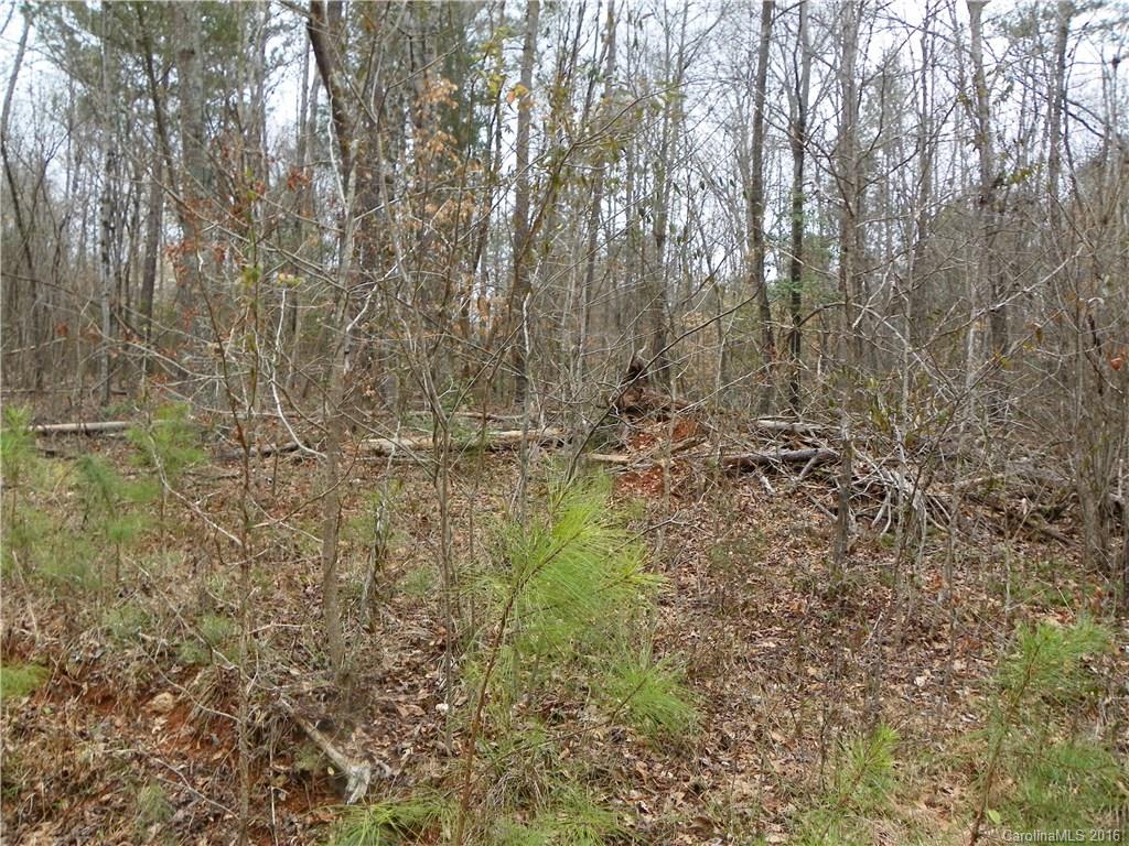 923 Jim Wilson Road Indian Land, SC 29707 - Photo 22 of 23 Gallery Image 22