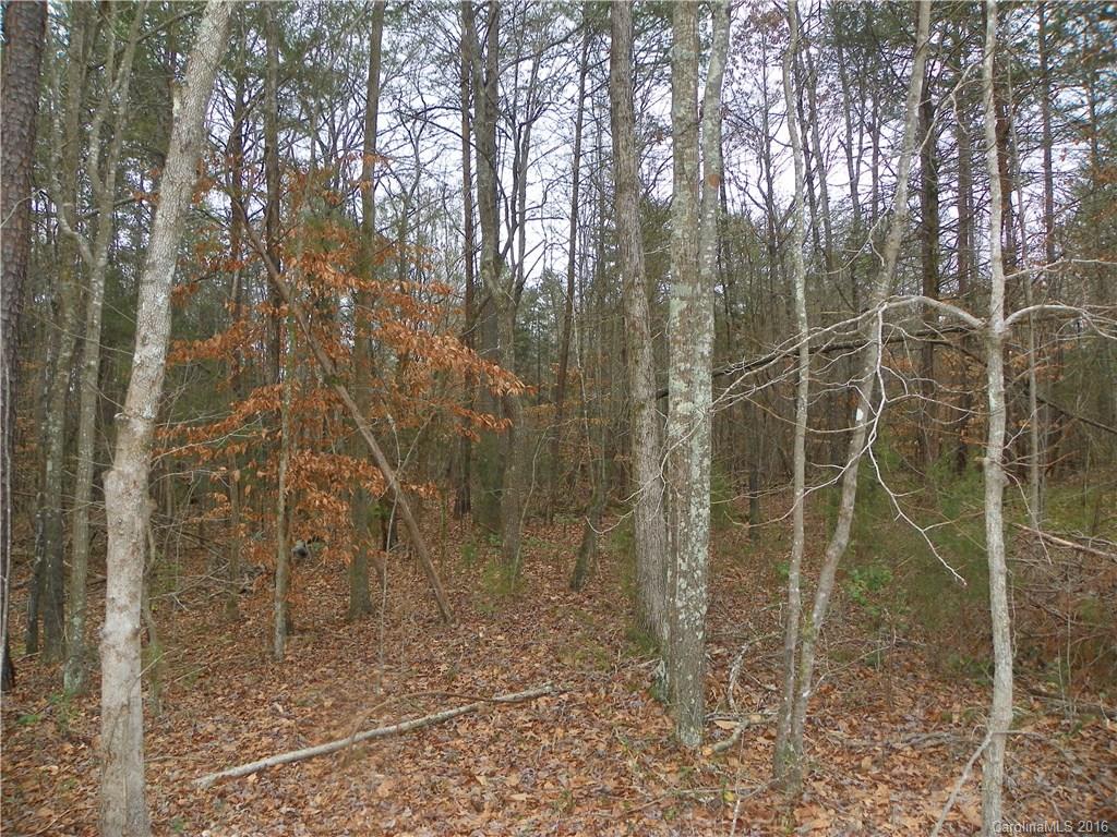 923 Jim Wilson Road Indian Land, SC 29707 - Photo 4 of 23 Gallery Image 4