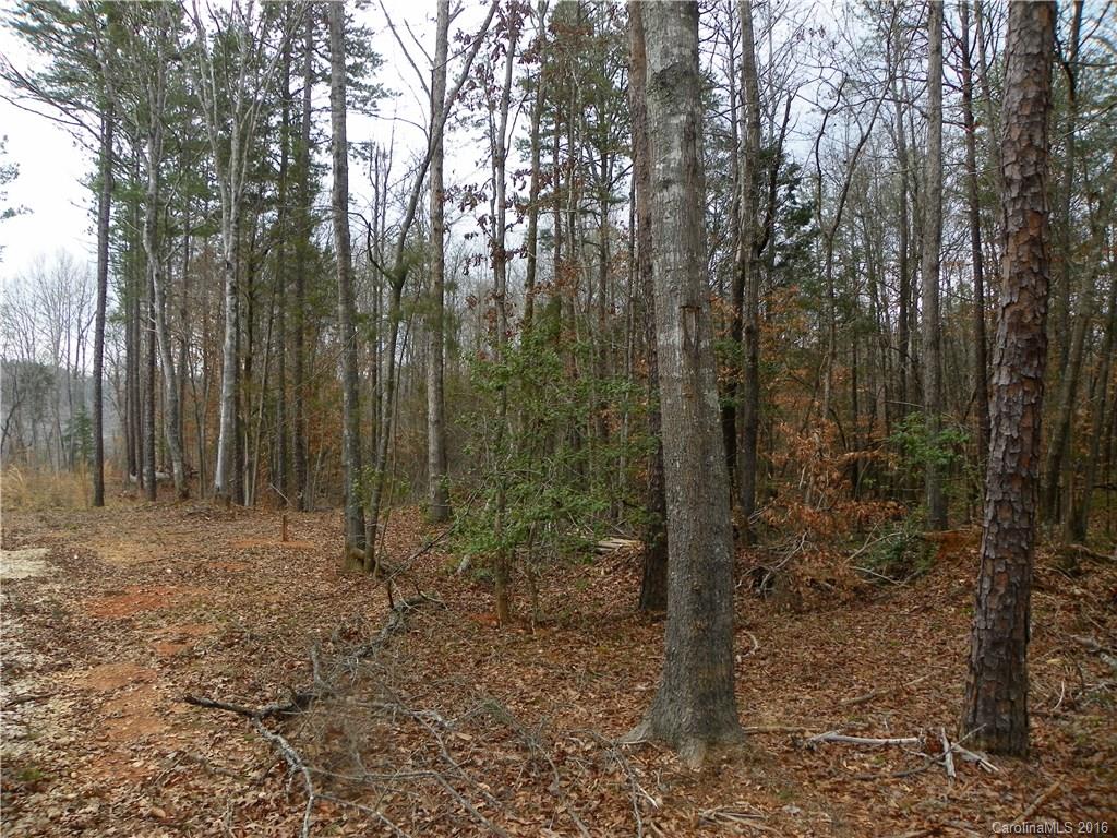 923 Jim Wilson Road Indian Land, SC 29707 - Photo 5 of 23 Gallery Image 5