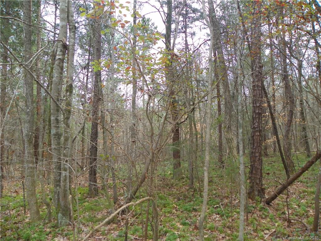 923 Jim Wilson Road Indian Land, SC 29707 - Photo 8 of 23 Gallery Image 8