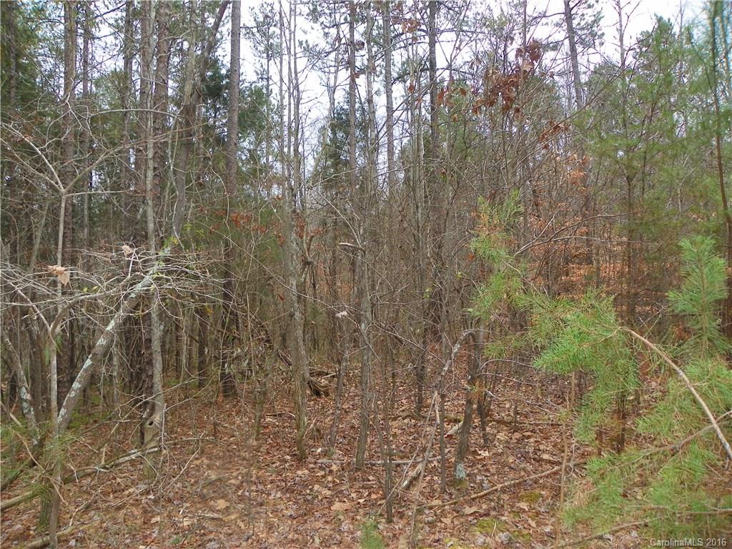 923 Jim Wilson Road Indian Land, SC 29707 - Photo 9 of 23 Gallery Image 9