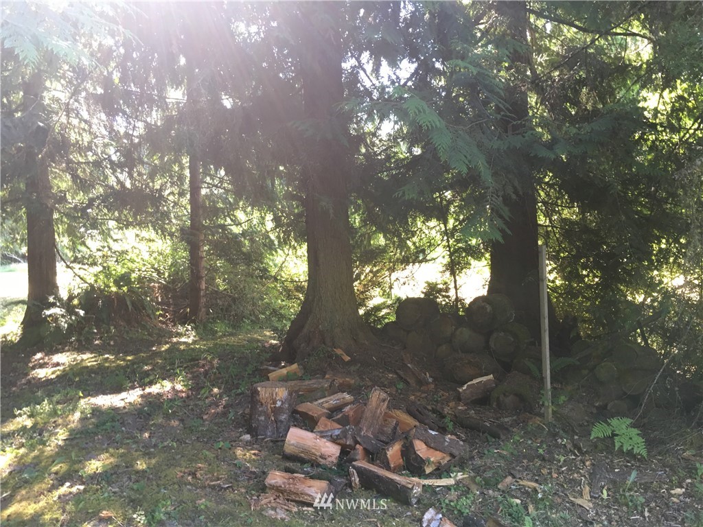 93 A Miles Road Port Angeles, WA 98362 - Photo 12 of 12 a backyard of a house