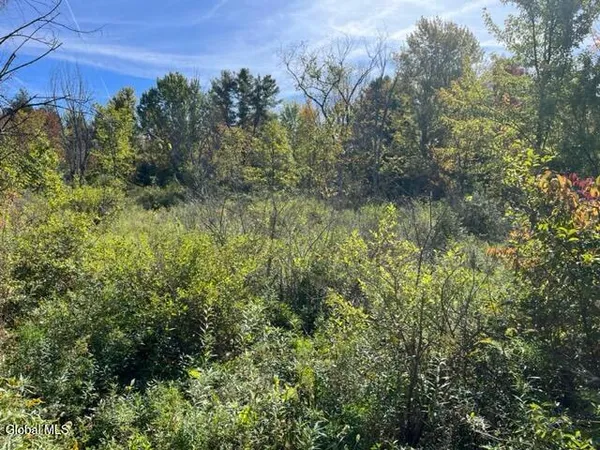 $69,900 | L16.4 Duanesburg Road, Delanson, NY 12053