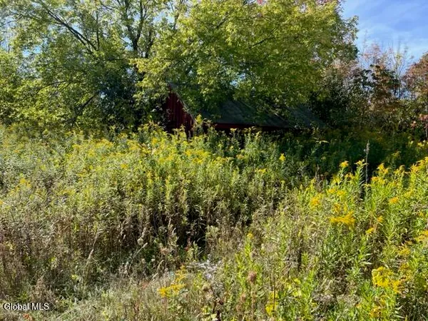 $69,900 | L16.4 Duanesburg Road, Delanson, NY 12053