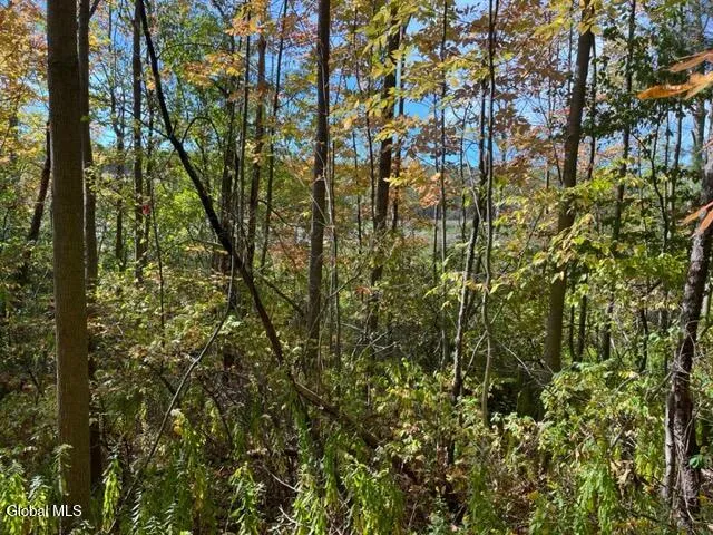 $69,900 | L16.4 Duanesburg Road, Delanson, NY 12053