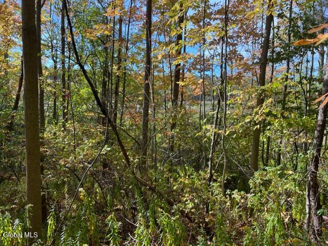 L16.4 Duanesburg Road Delanson, NY 12053 - Photo 6 of 9 IMG_4668