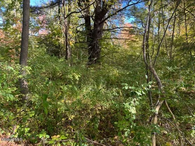 $69,900 | L16.4 Duanesburg Road, Delanson, NY 12053