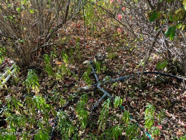 L16.4 Duanesburg Road Delanson, NY 12053 - Photo 8 of 9 IMG_4664