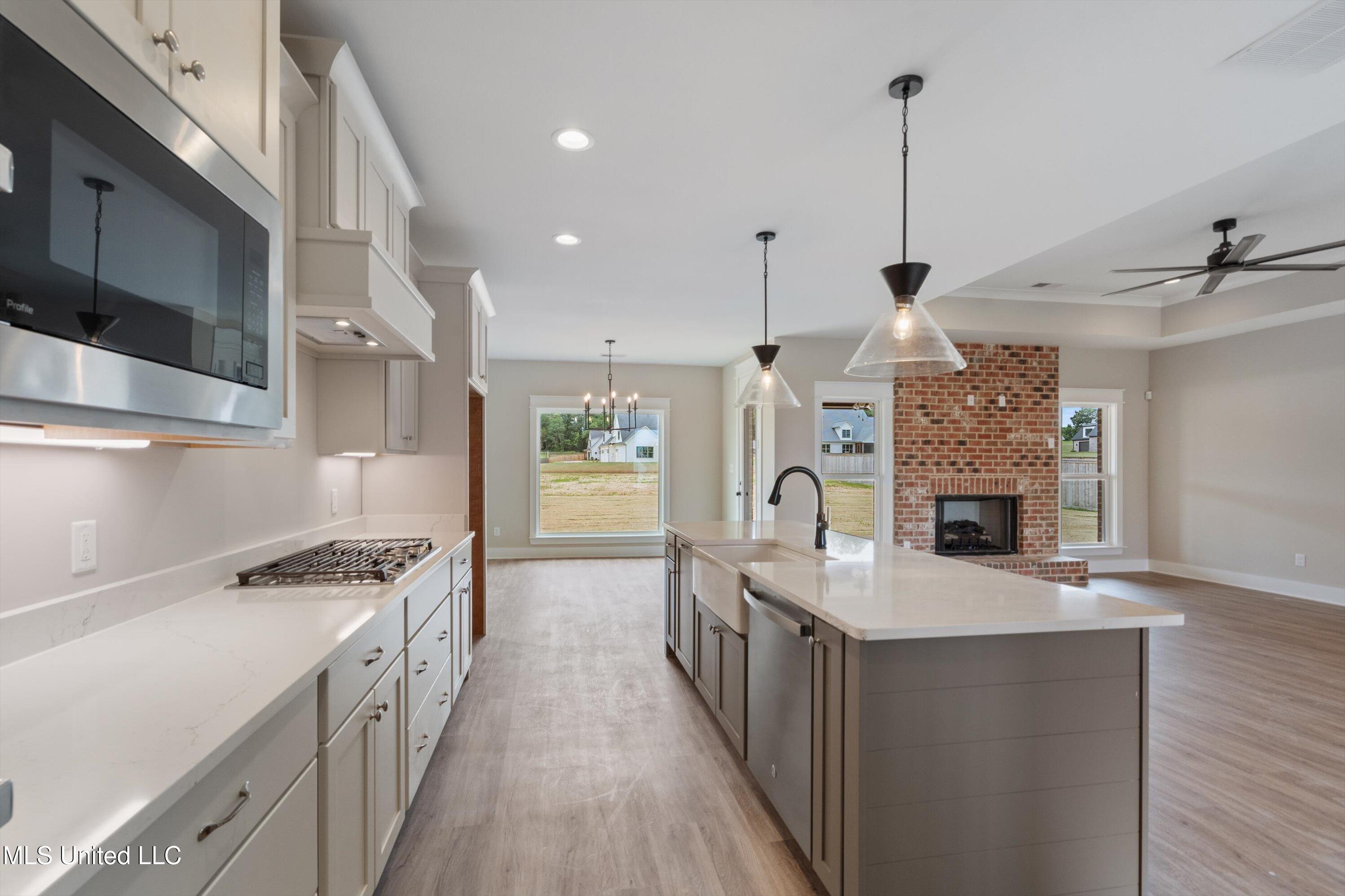 5125 Reserve Way Hernando, MS 38632 - Photo 14 of 38 17-DSC4125