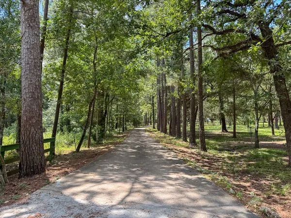 a view of outdoor space with trees