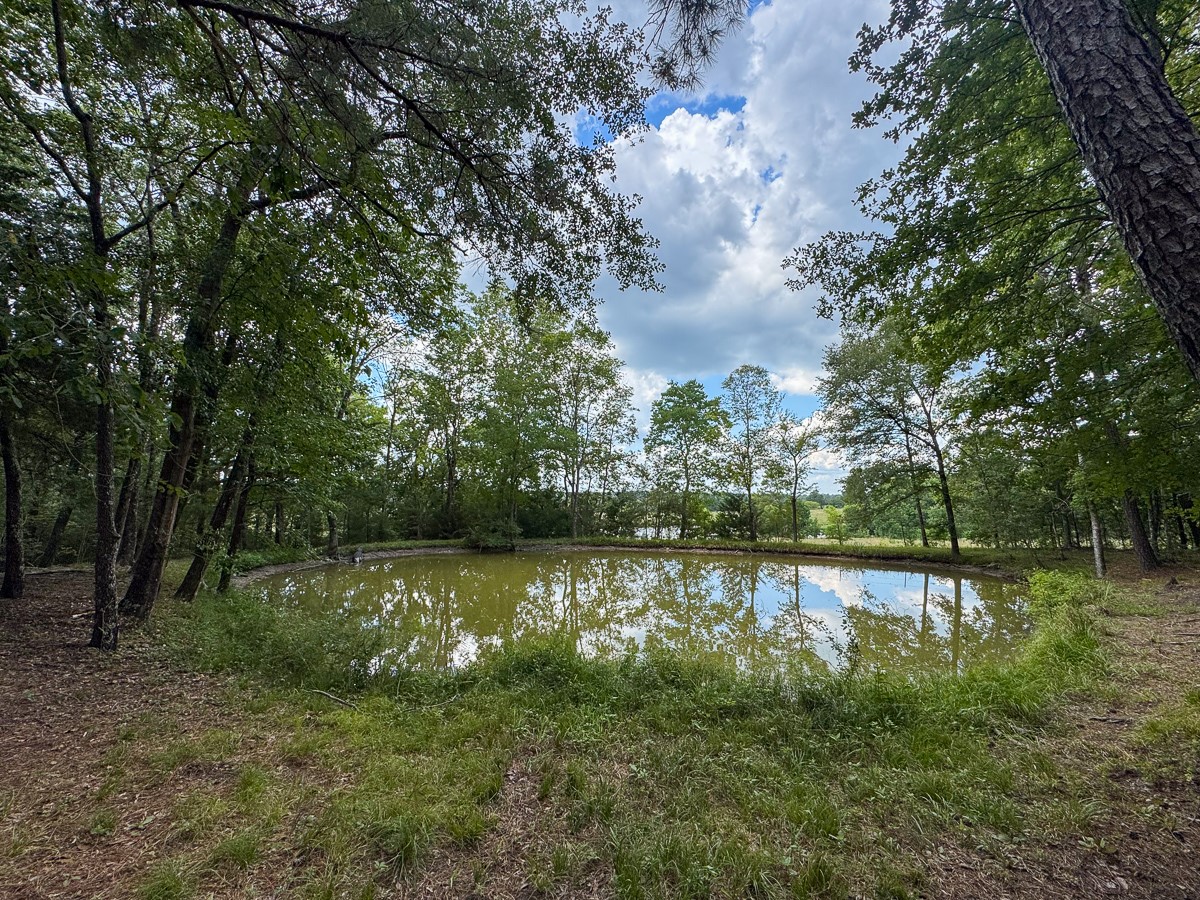 450 Four Notch Road Huntsville, TX 77340 - Photo 41 of 49 a view of a lake