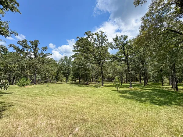 a view of a golf course with a trees