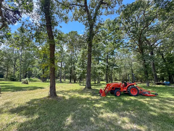 a view of a park with large trees