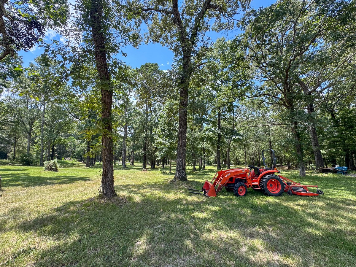 450 Four Notch Road Huntsville, TX 77340 - Photo 45 of 49 a view of a park with large trees