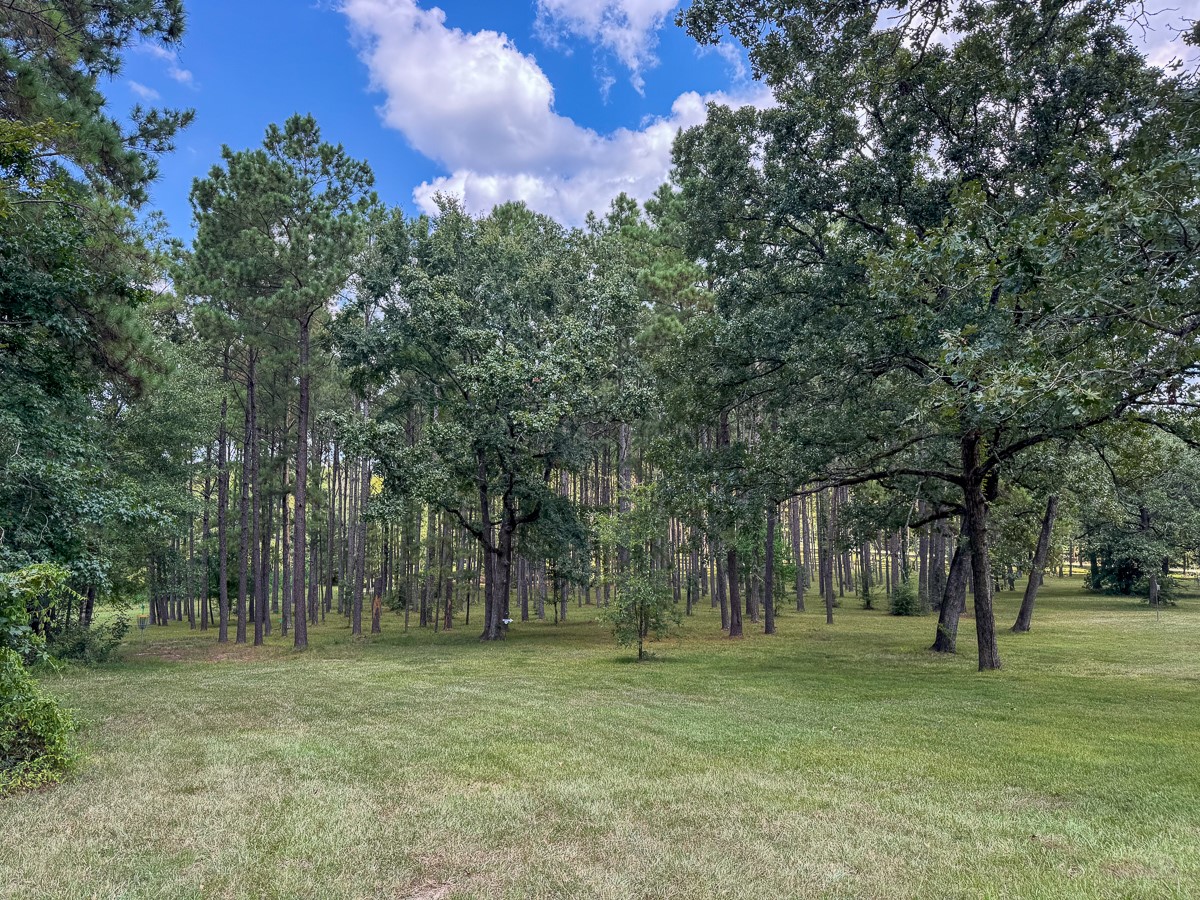 450 Four Notch Road Huntsville, TX 77340 - Photo 46 of 49 a view of outdoor space with trees
