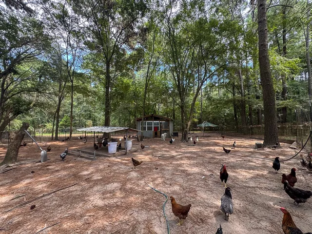 a view of a backyard with a bench and trees